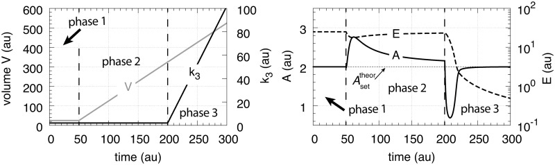 Fig 24