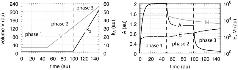 Fig 7