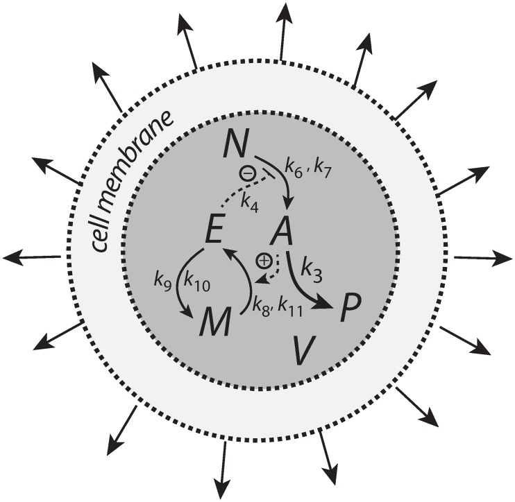 Fig 23