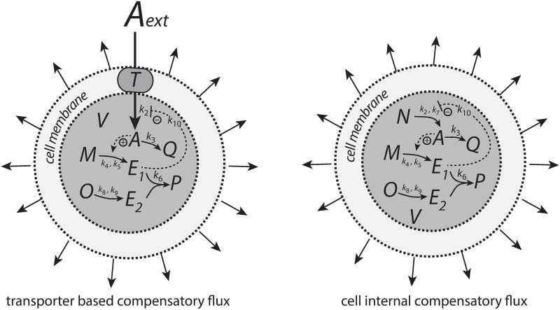 Fig 28