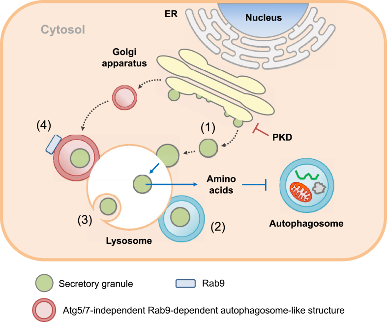 Figure 4