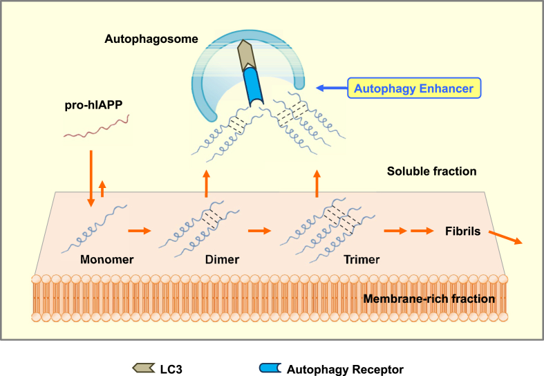 Figure 3