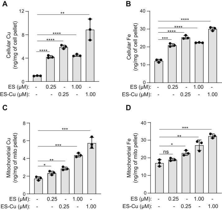 Figure 3