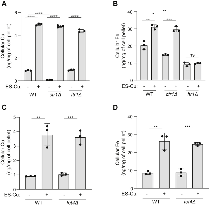 Figure 4