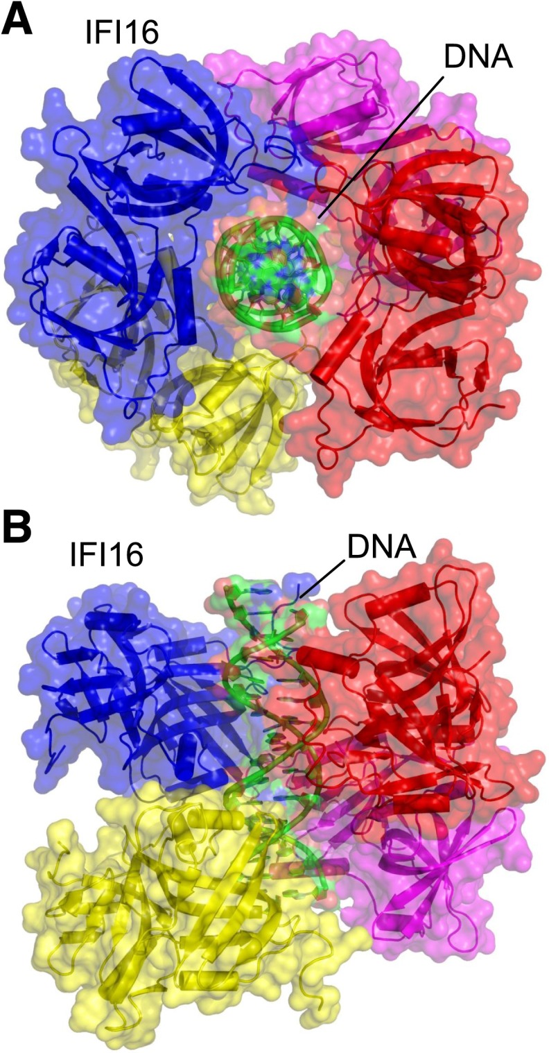 Fig. 8.