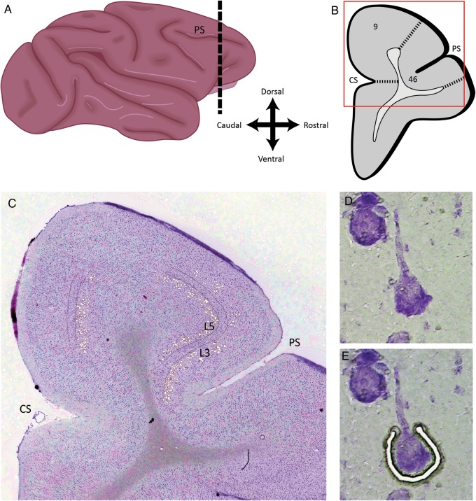 Figure 1.