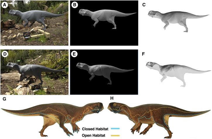 Figure 4