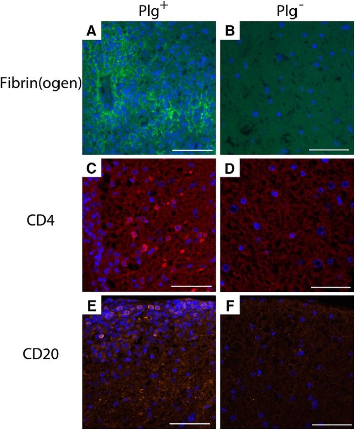 Figure 6.