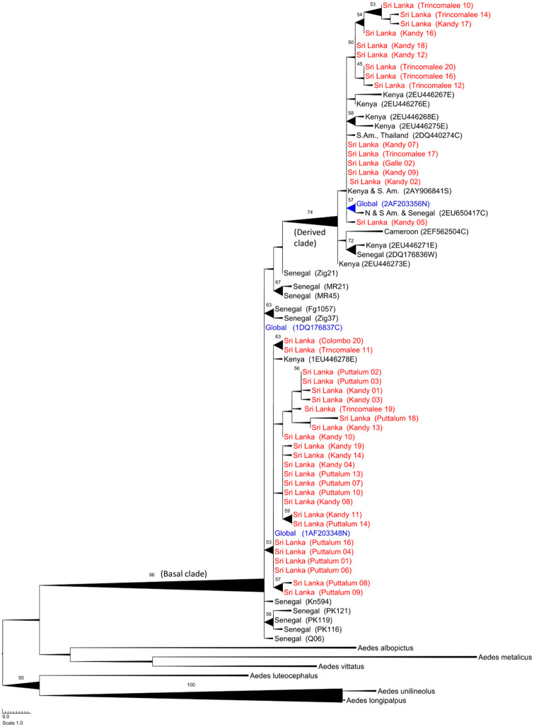 Fig 2