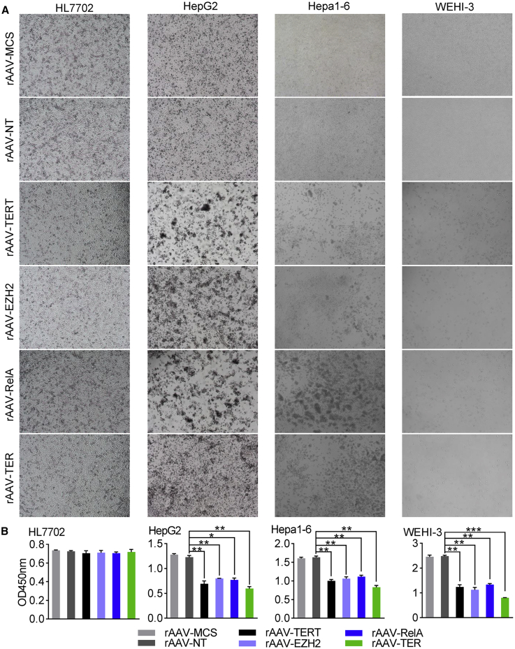 Figure 5