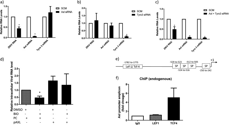 FIG 6