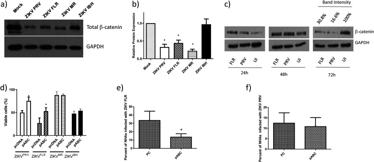 FIG 2