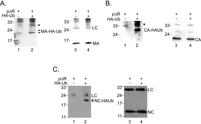 FIG. 6.