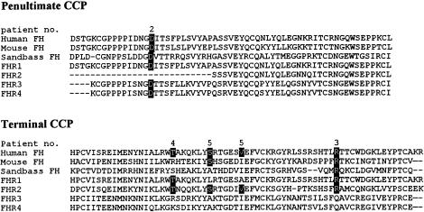 Figure  2