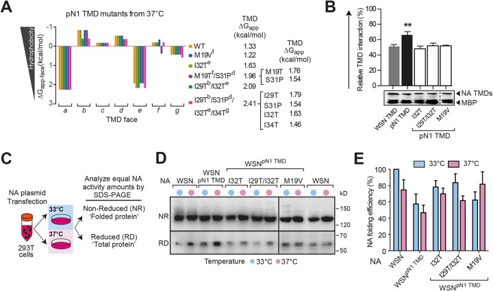 FIG 3