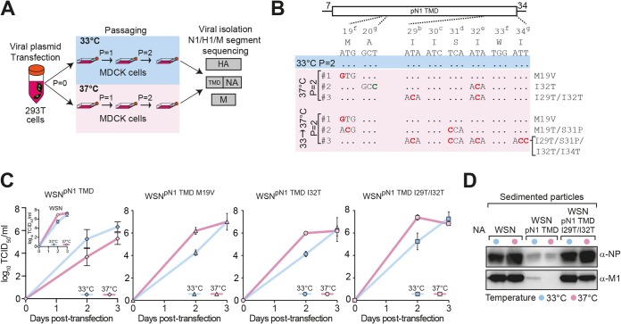 FIG 2