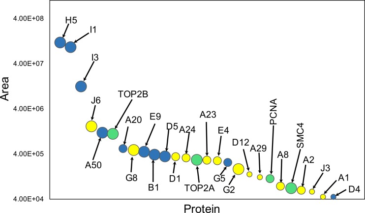 FIG 8