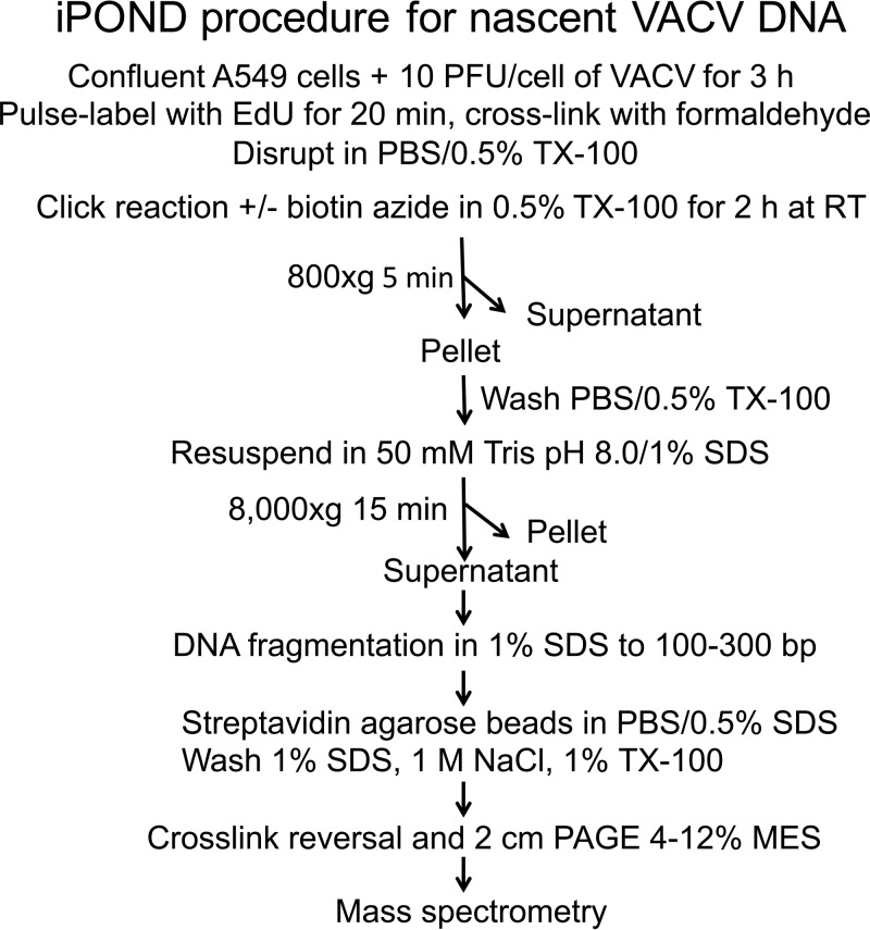 FIG 6