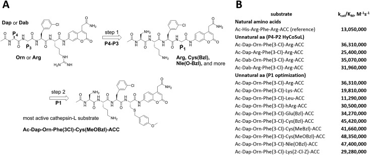 Fig. 4