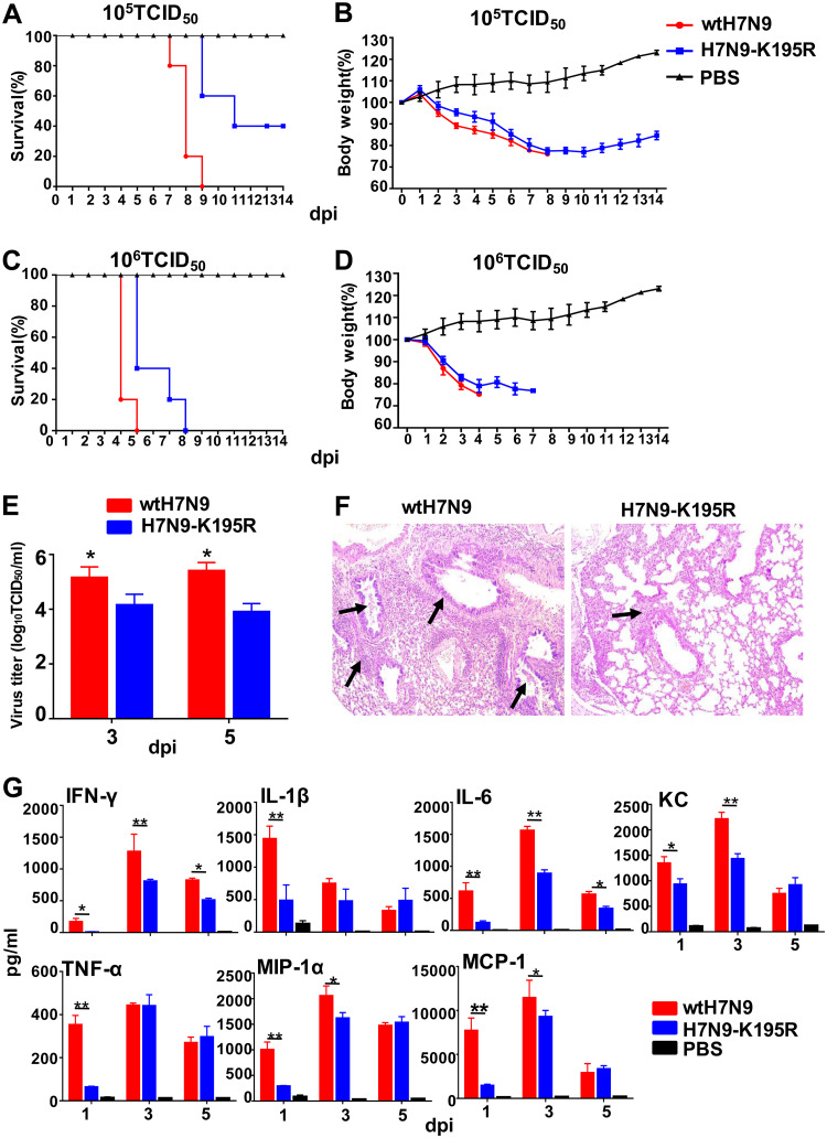 FIG 6