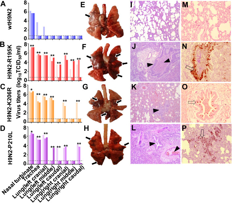 FIG 2