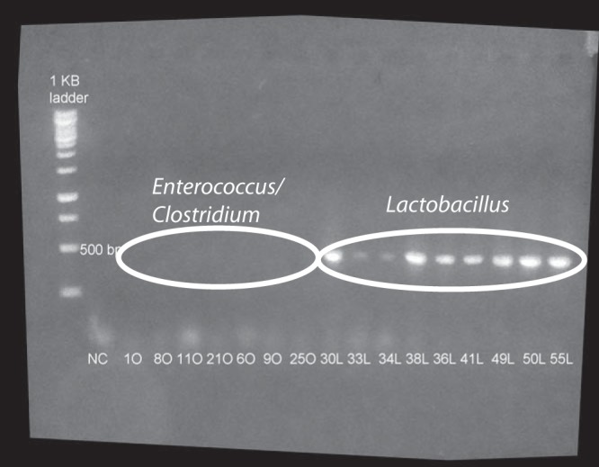 FIG 1