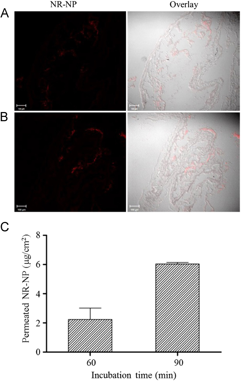 Fig. 7