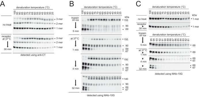 FIG 9