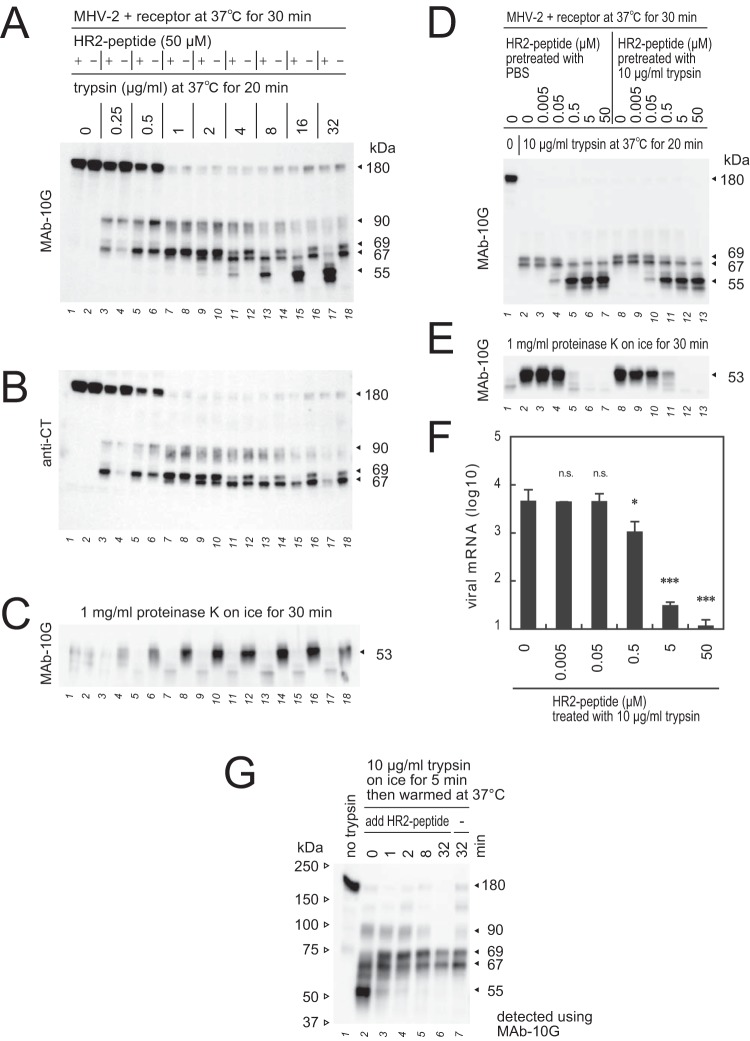 FIG 8