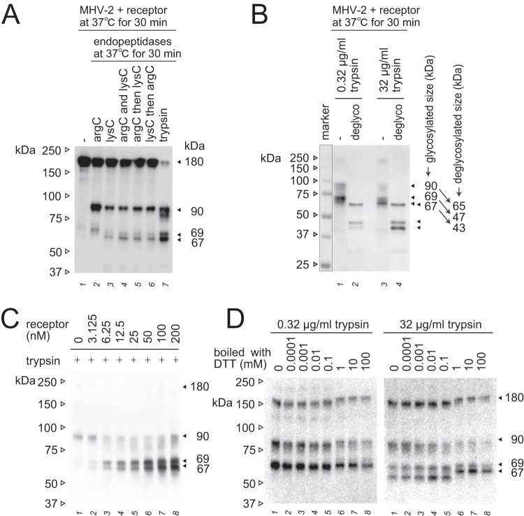 FIG 3