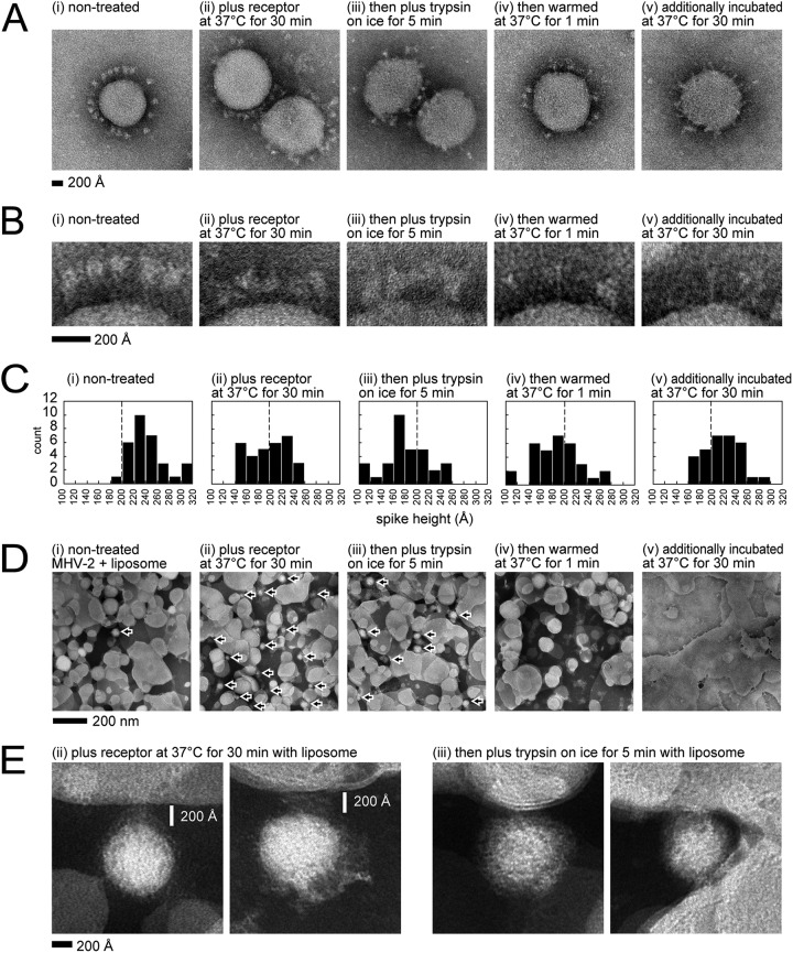 FIG 10