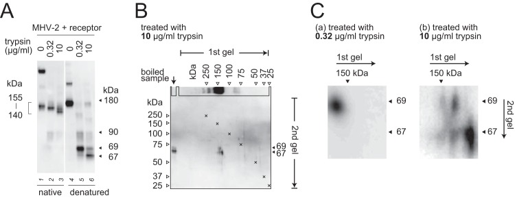 FIG 5