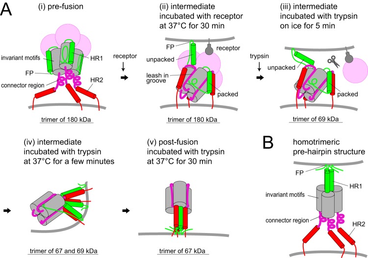 FIG 11