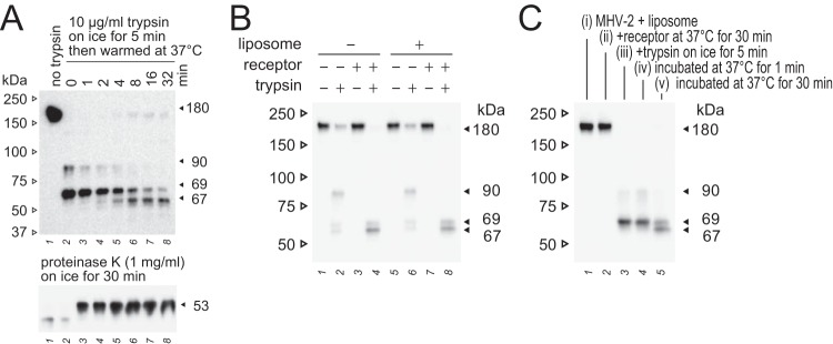 FIG 7