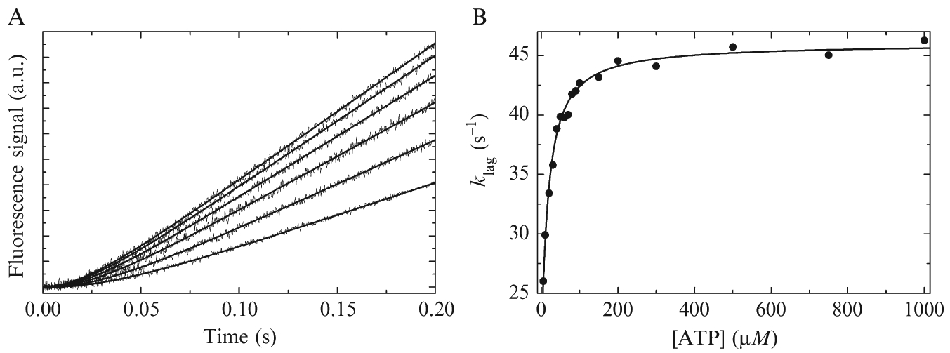 Figure 2.4