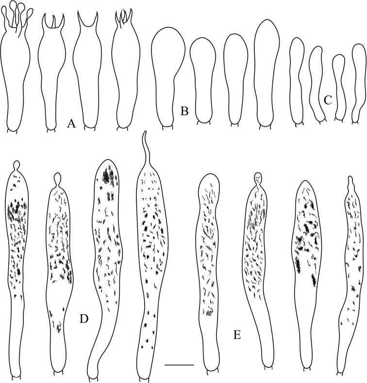 Figure 3.