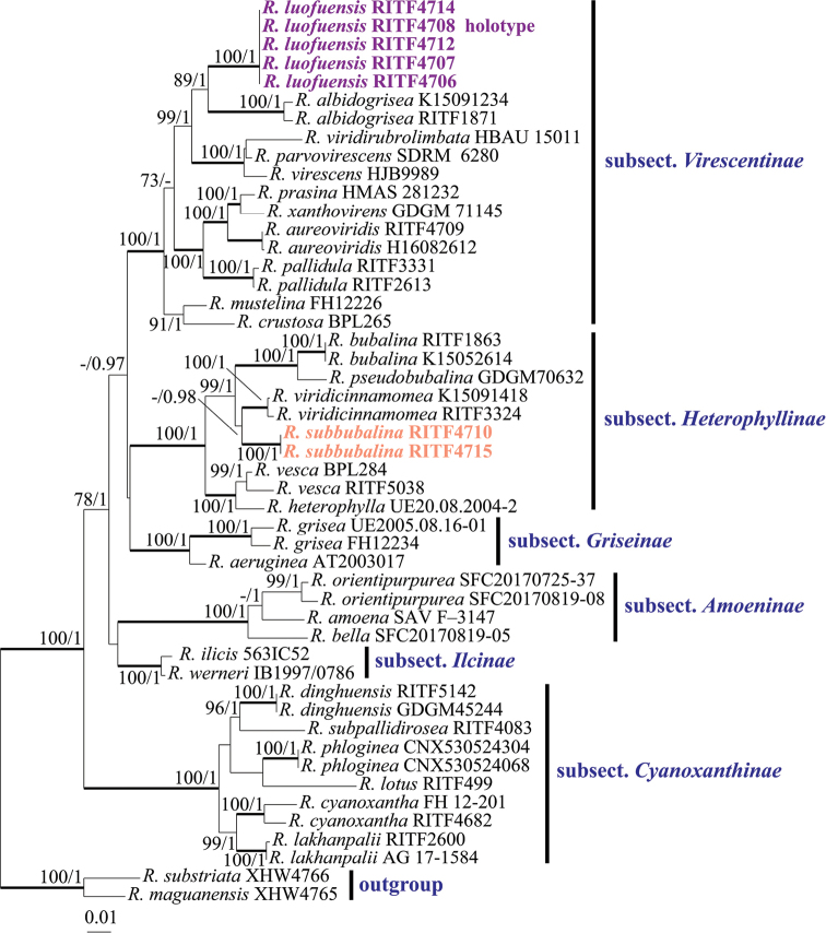 Figure 1.