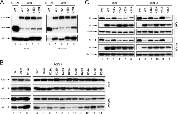 FIG. 4.