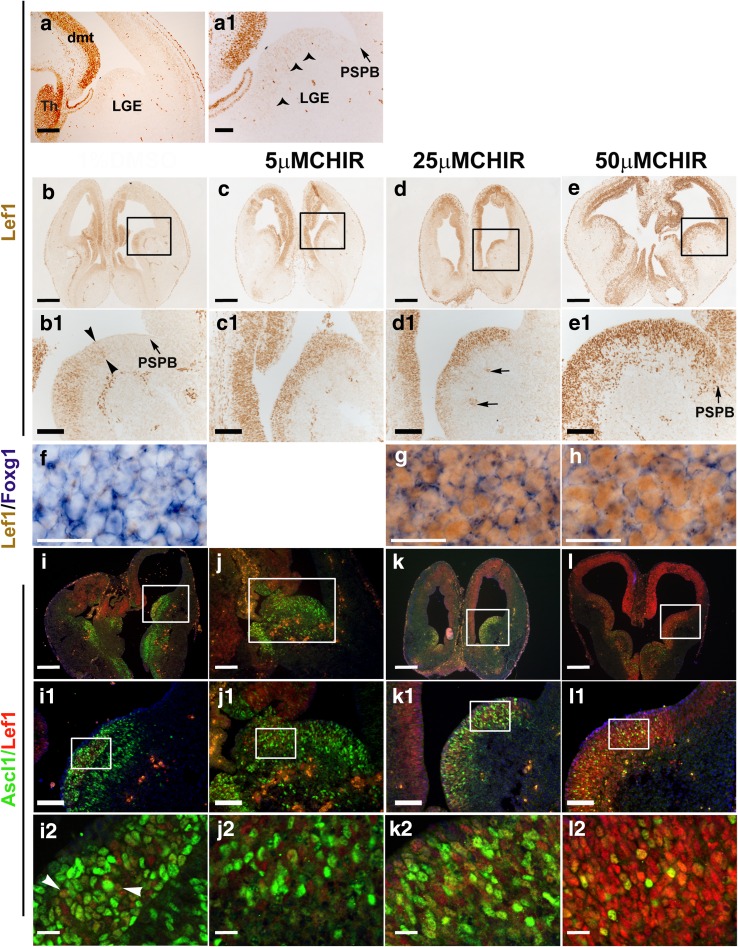 Fig. 4