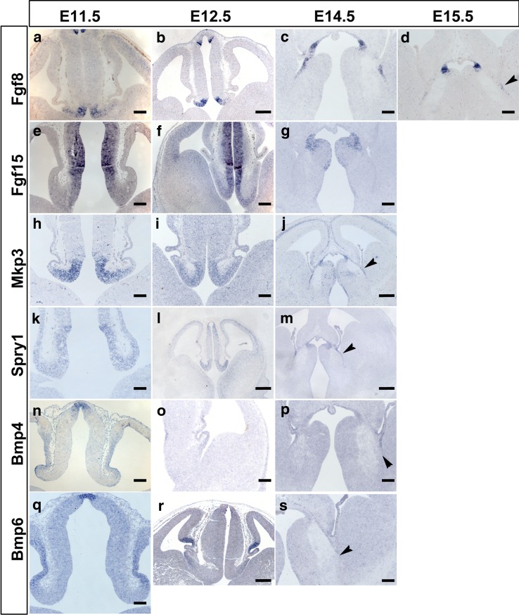 Fig. 3