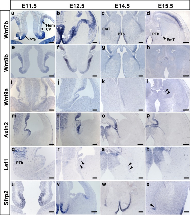 Fig. 2