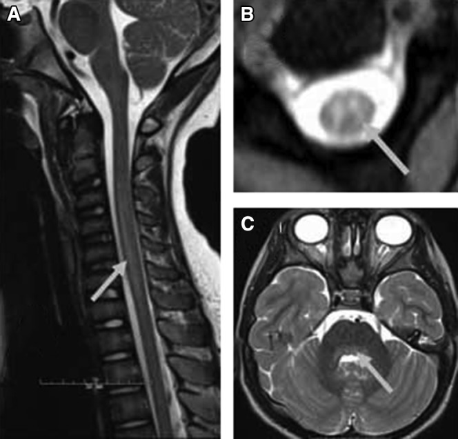 Figure 2