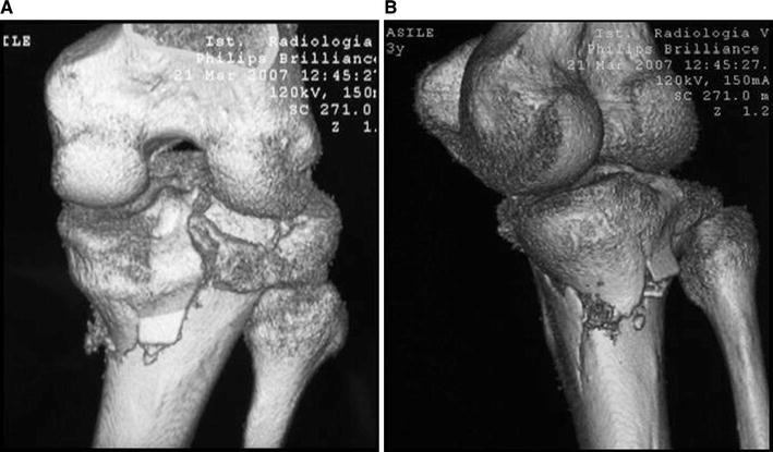 Fig. 4