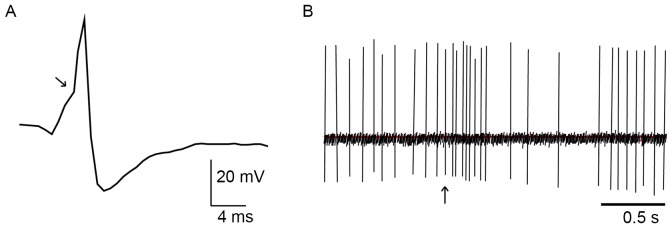 Figure 2.