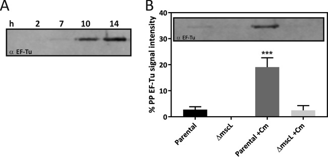 FIG 6 