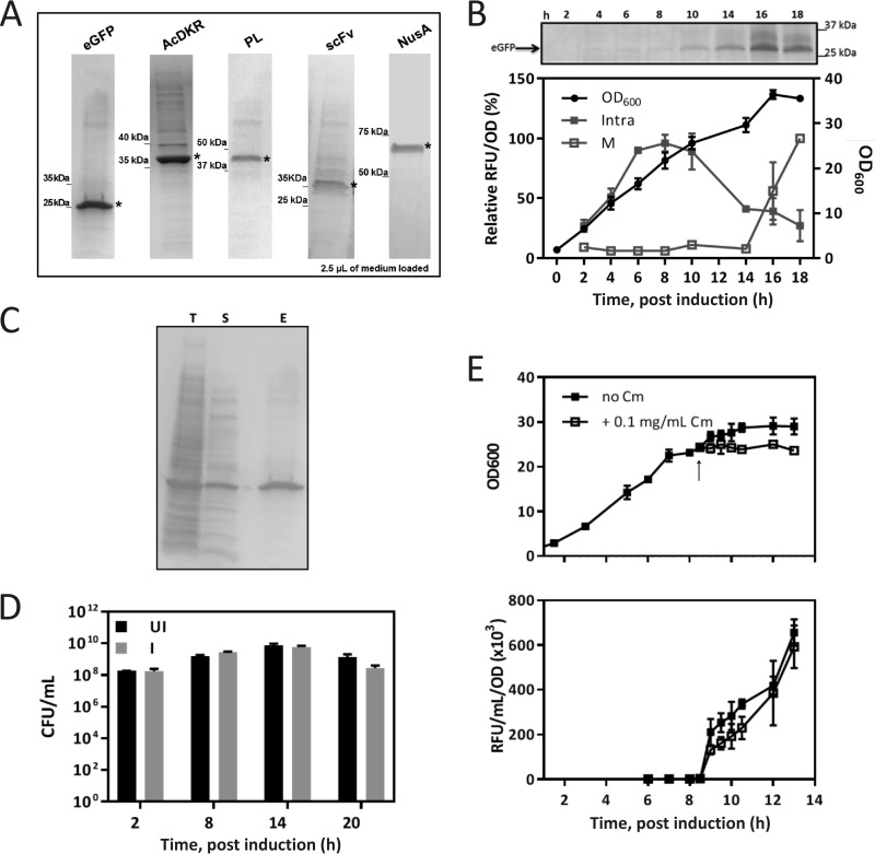 FIG 1 