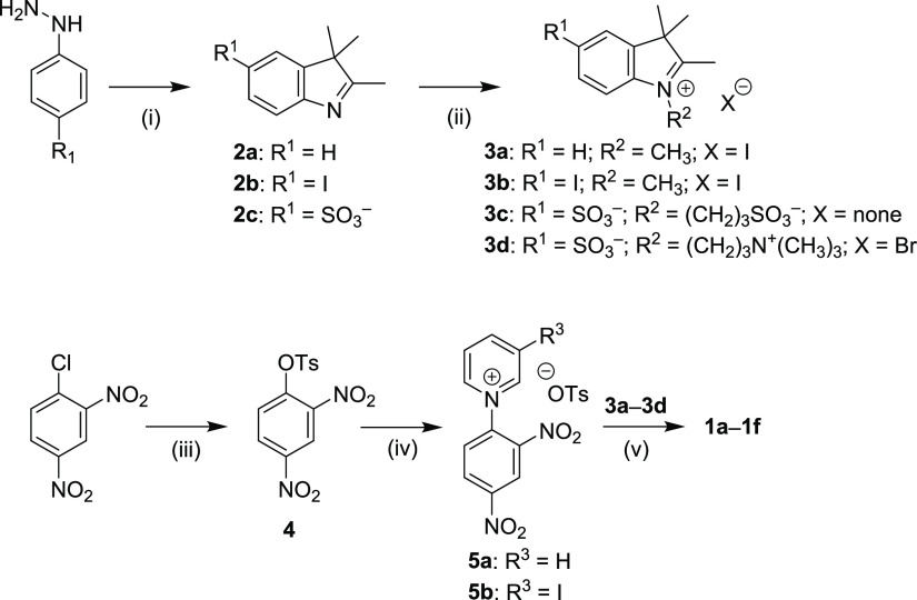 Scheme 1