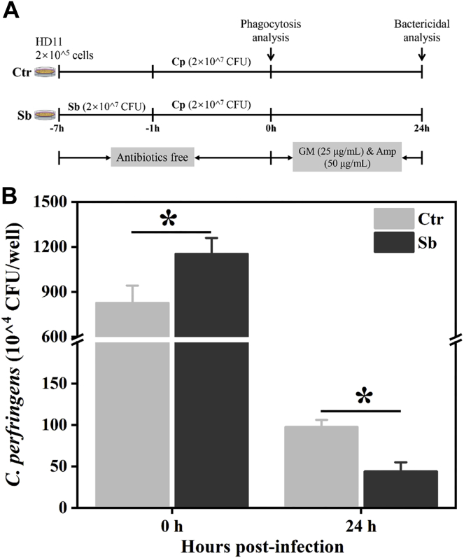 Figure 2