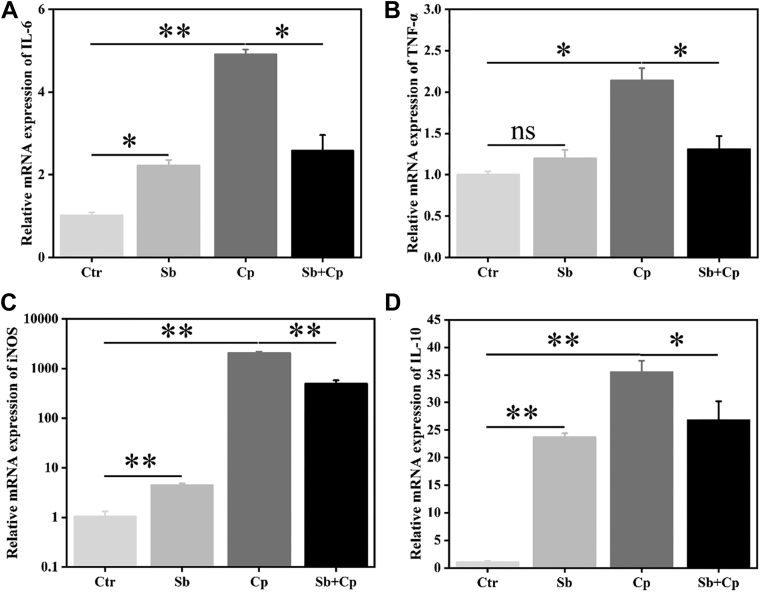 Figure 6