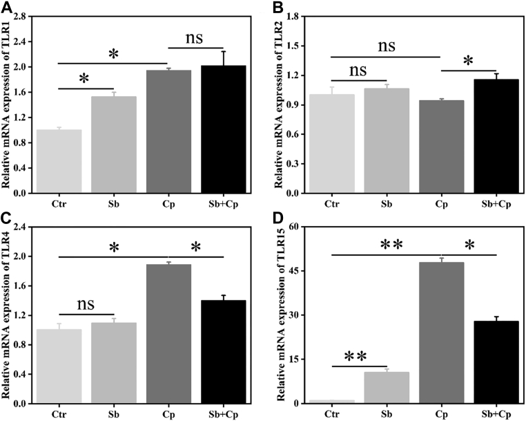 Figure 4